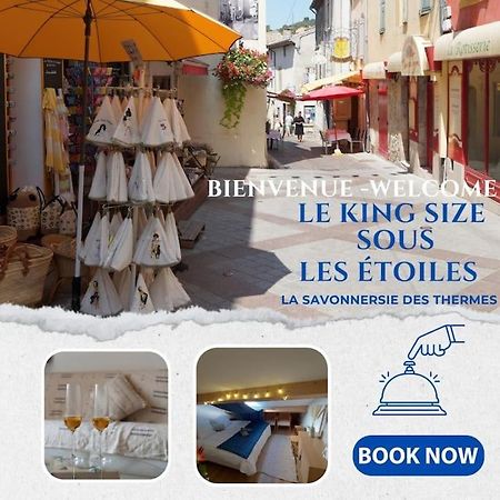 Le King & Suites Etoilees Gréoux-les-Bains Екстериор снимка